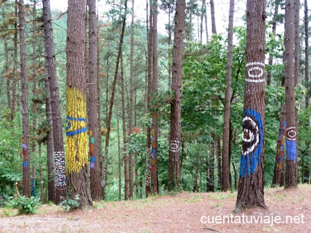 El Bosque de Oma, Bizkaia.